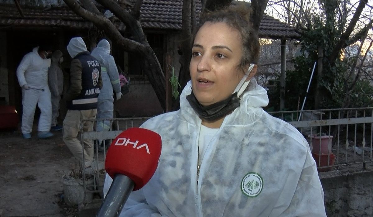 Ankara'da ölü hayvanları evindeki saksılarda sakladı