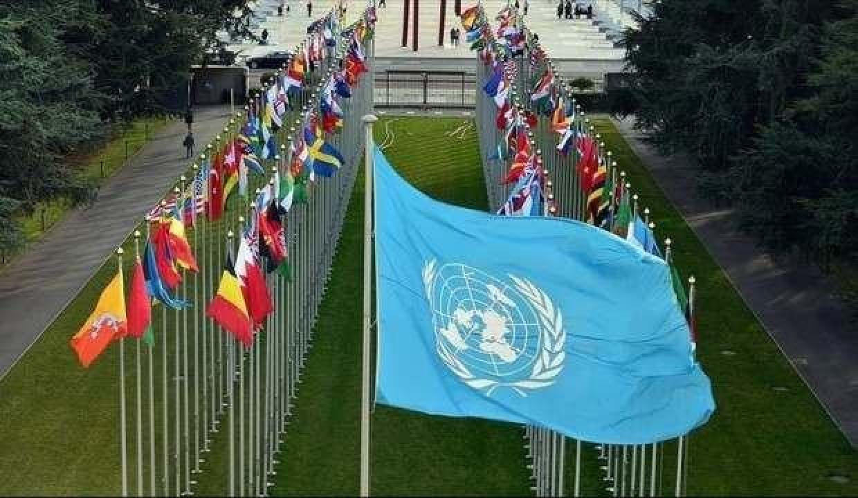 BM&#039;den İsviçre’ye: Siyahilere yönelik ırkçılığa karşı tedbir alın