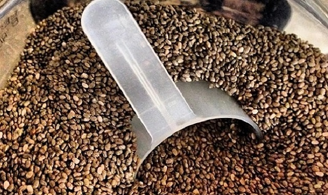 Chia Tohumu Faydaları Nelerdir? Tüm Faydaları Burada!