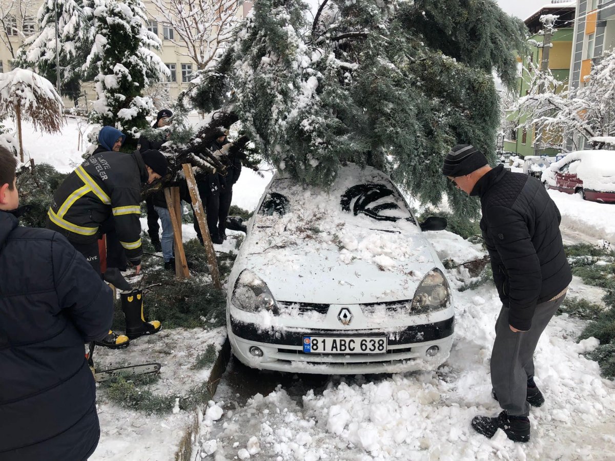 Düzce'de kar yağışına dayanamayan ağaç, aracın üzerine devrildi