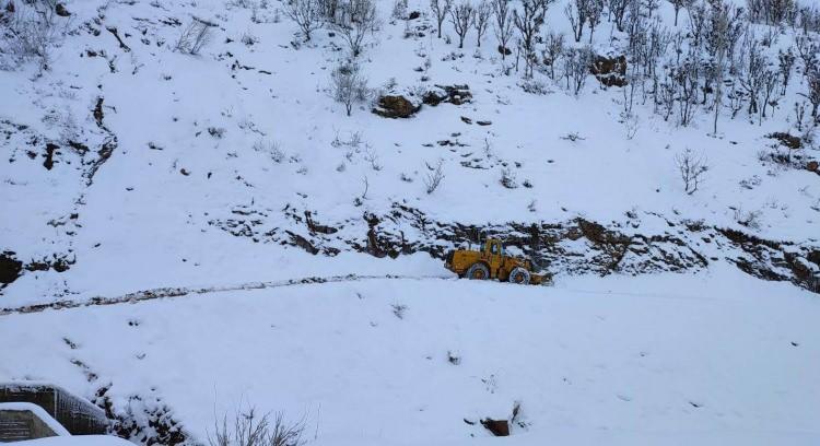 Gaziantep'te kar yağışı nedeniyle hayat resmen durdu: Vali Gül'den açıklama!