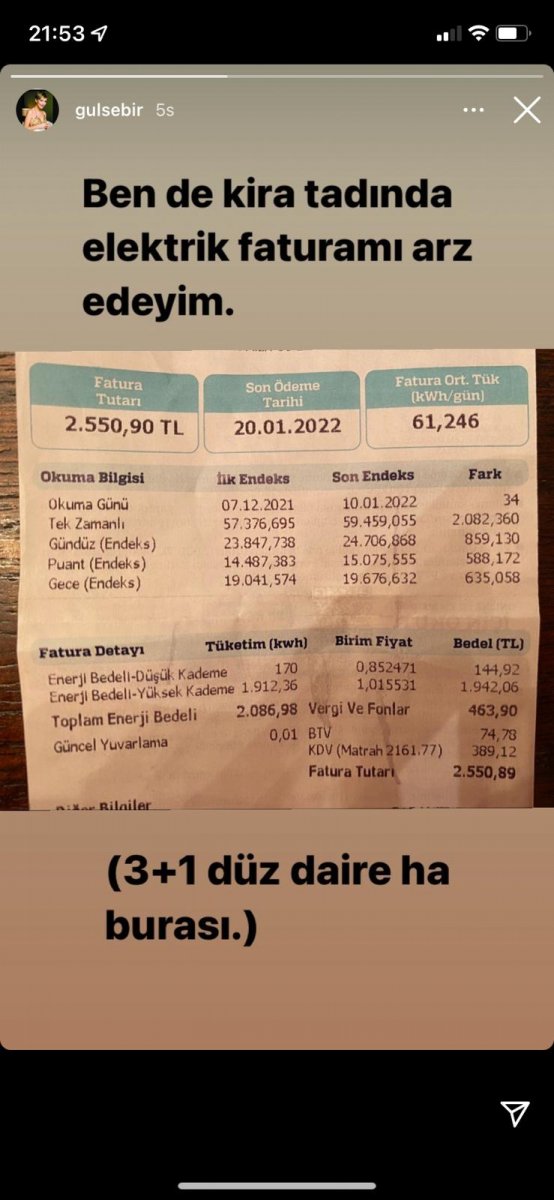 Gülse Birsel'in şaşırtan elektrik faturası