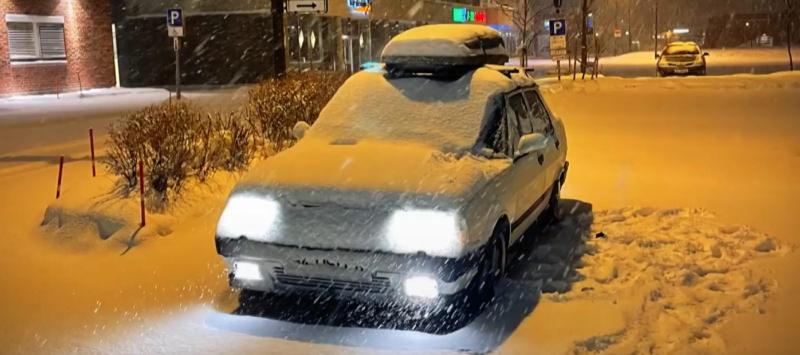 İki kardeşin Şahin tutkusu! İstanbul'dan Kuzey Kutbu'na uzanan yolculuk...