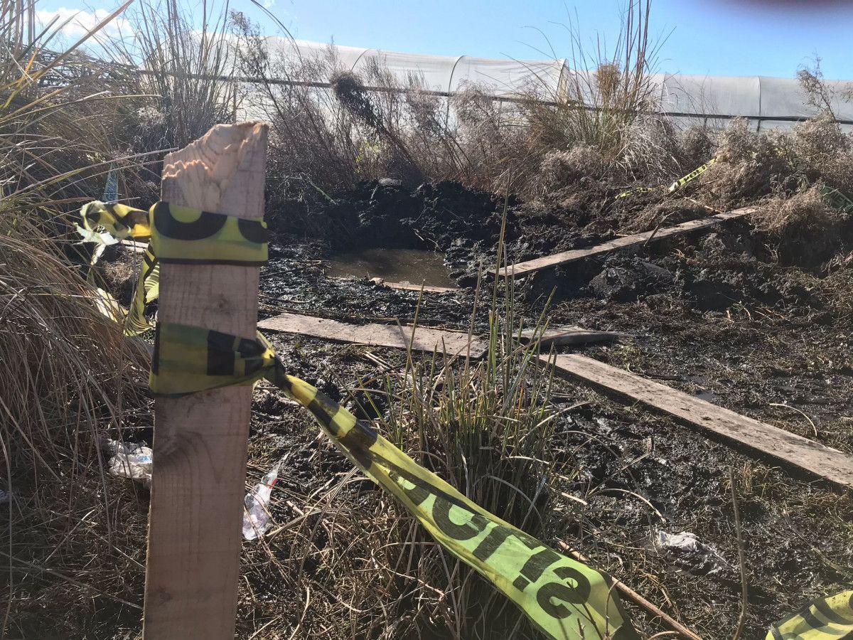 Mersin'de bir kişi, hamile eşini sosyal medya şifresini vermedi diye öldürdü