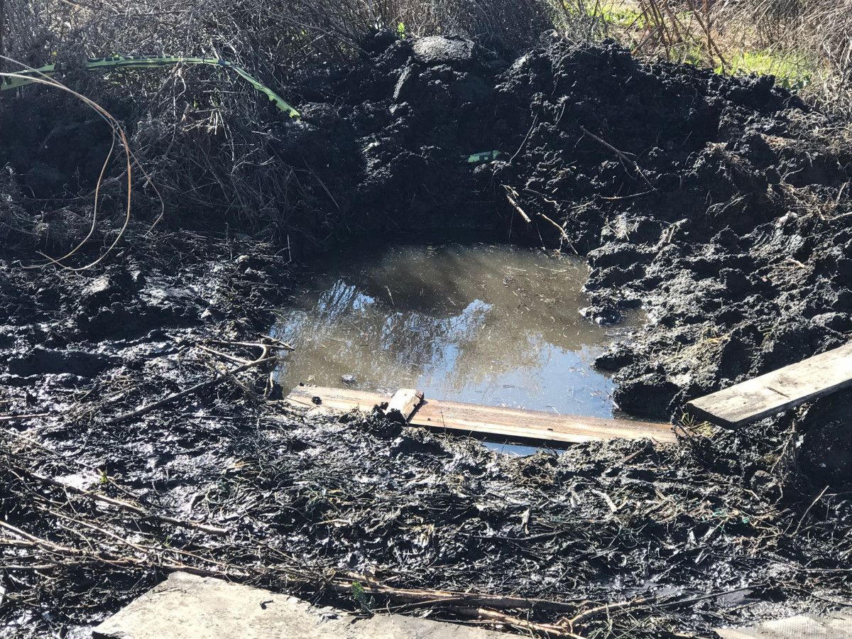 Mersin'de bir kişi, hamile eşini sosyal medya şifresini vermedi diye öldürdü