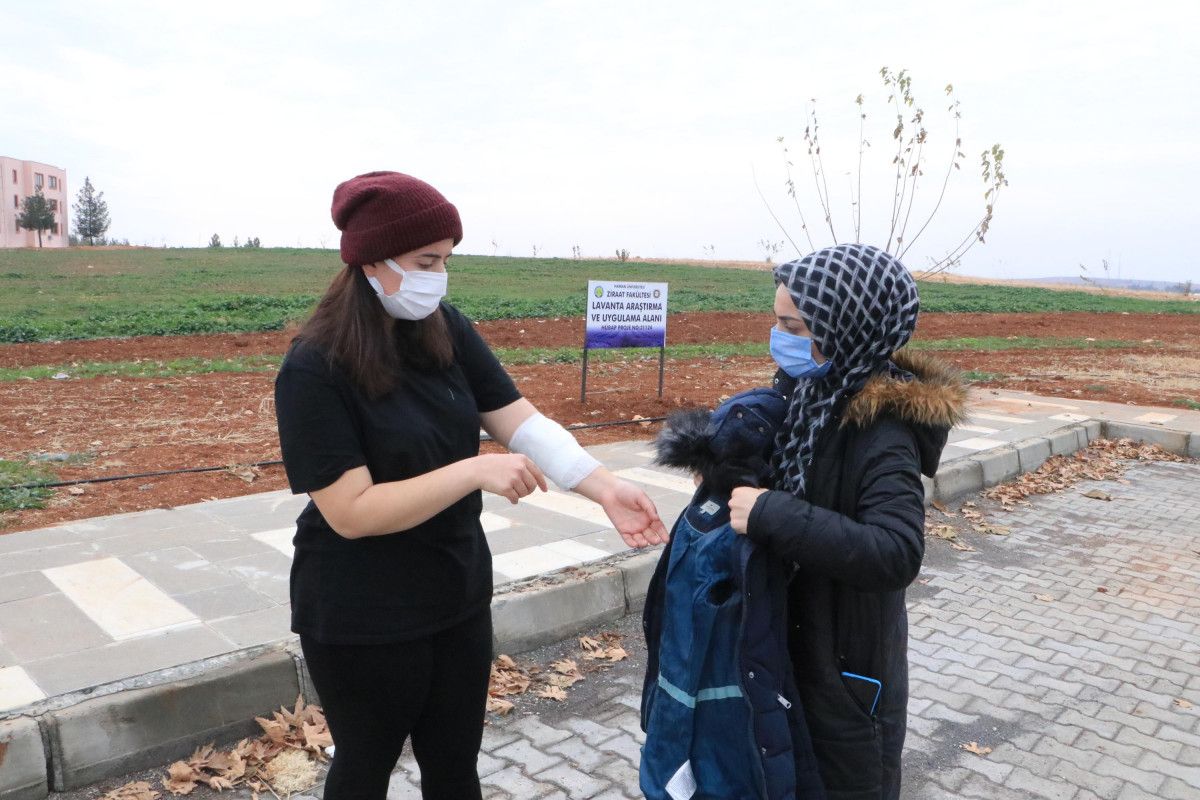 Şanlıurfa'daki üniversite kampüsünde köpek dehşeti