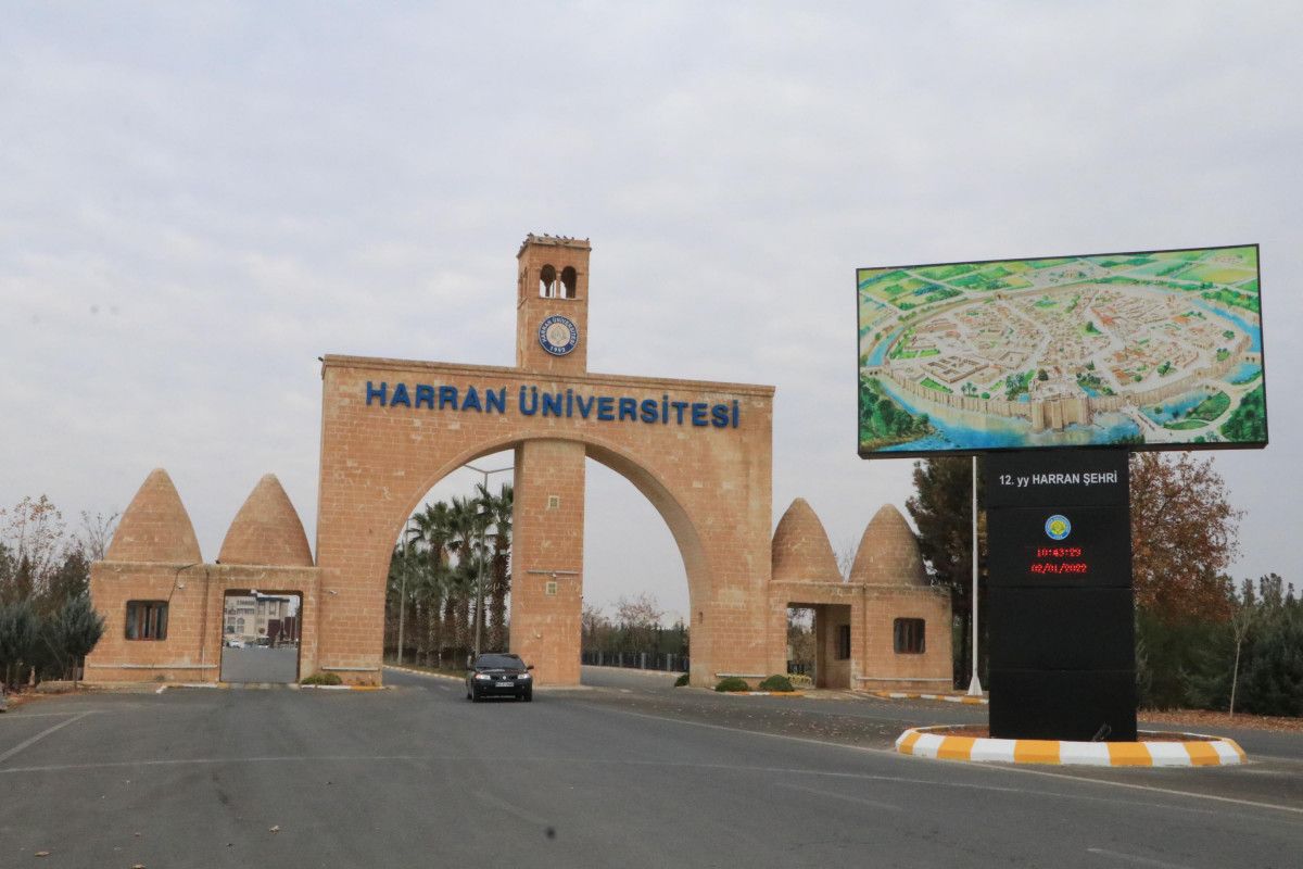 Şanlıurfa'daki üniversite kampüsünde köpek dehşeti