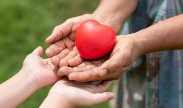 Beyin ölümü gerçekleşen kadının organları 3 hastaya umut oldu