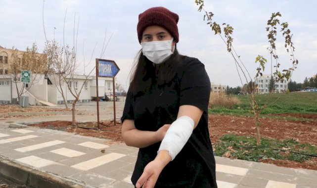 Şanlıurfa'daki üniversite kampüsünde köpek dehşeti