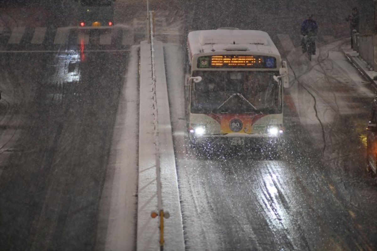 Tokyo'da dondurucu soğuklar ve kar nedeniyle 215 kişi hastanelik oldu