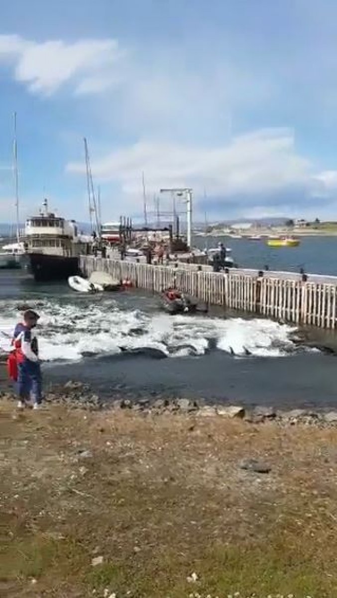 Arjantin’de yalancı katil balinalar kıyıya akın etti