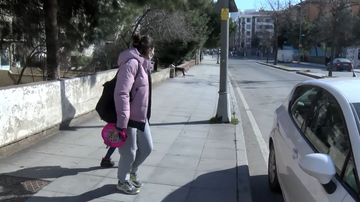 Ataşehir'deki okul çevresinde pitbull paniği