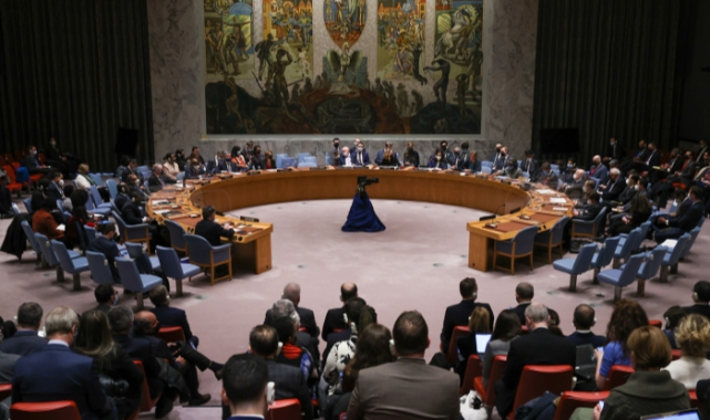 Birleşmiş Milletler Güvenlik Konseyi toplantısında karar ne çıktı?