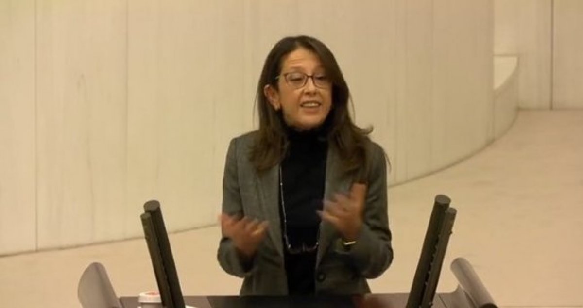 İslam'ı hedef alan HDP'li Oya Ersoy'a, partisinden tepki