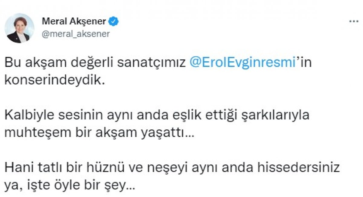 Meral Akşener Erol Evgin'in konserine katıldı