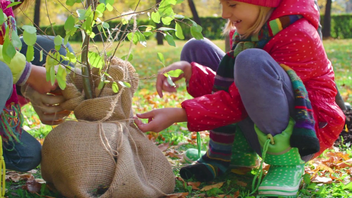 Murat Kurum: Yeşil kalkınma devrimiyle 'büyük ve güçlü Türkiye' diyoruz