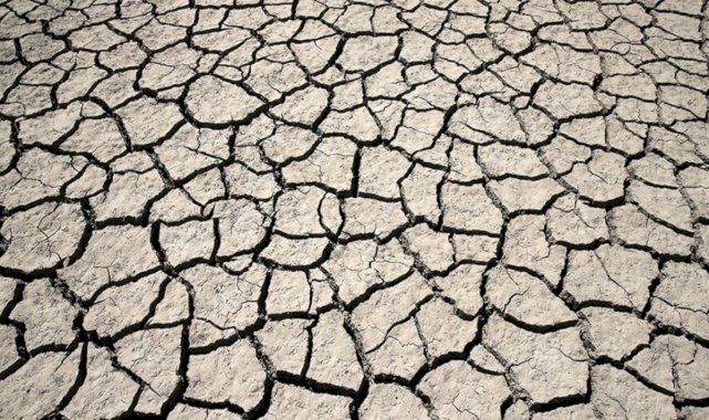 ABD'nin batısında 1200 yılın en büyük kuraklığı yaşanıyor