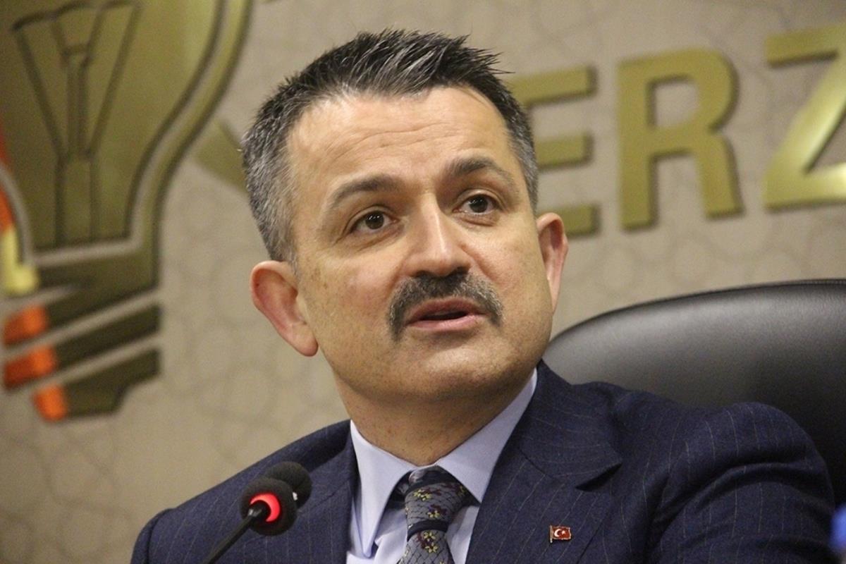 Tarım ve Orman Bakanlığından arıcılık sektörü açıklaması: &quot;Bu iddialar gerçeği yansıtmamaktadır&quot;