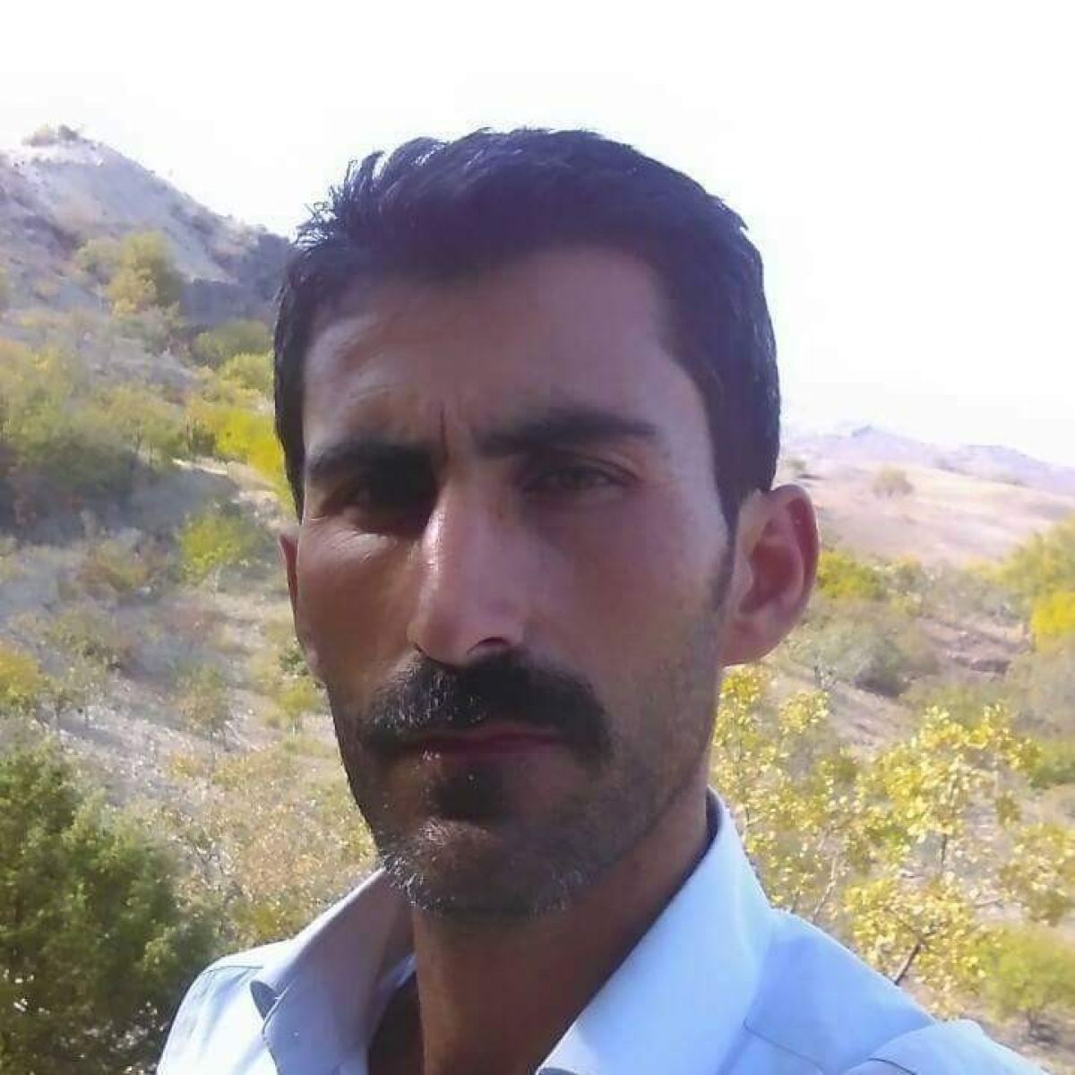 Adıyaman'da bir çoban, koyun sürüsünün sahibini kurt zannederek vurdu