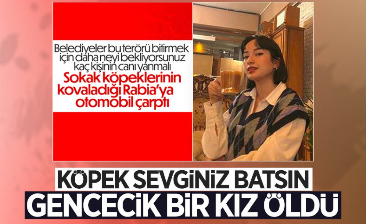 Başıboş sokak köpeği kurbanı Rabia, son yolculuğuna uğurlandı