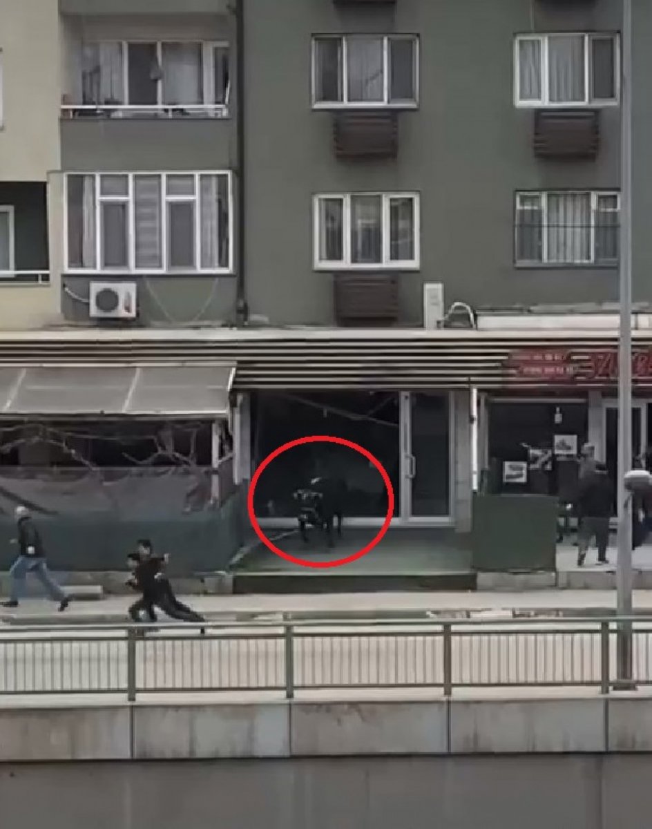 Bursa’da sahibinin elinden kaçan boğa, şehri birbirine kattı