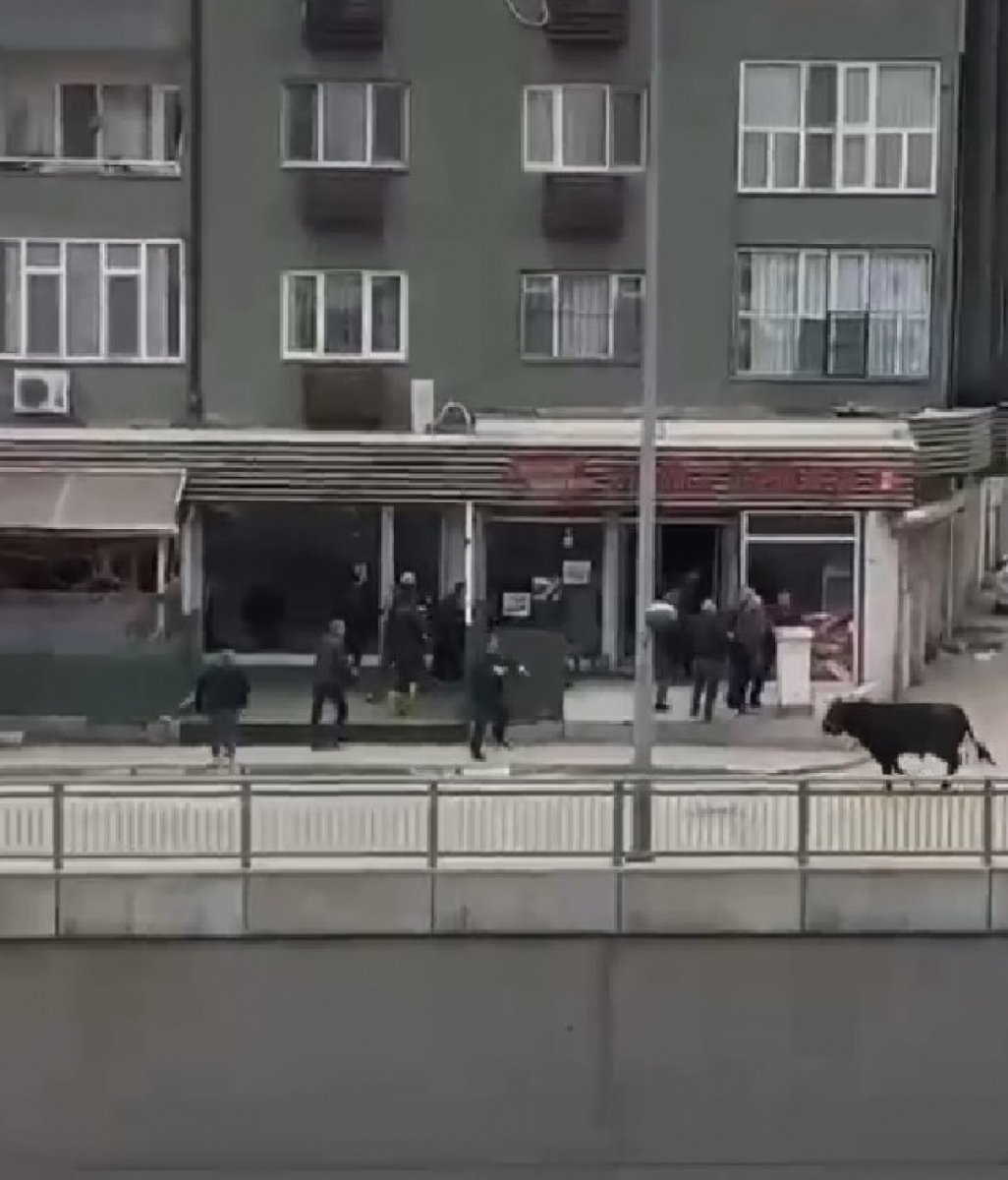 Bursa’da sahibinin elinden kaçan boğa, şehri birbirine kattı