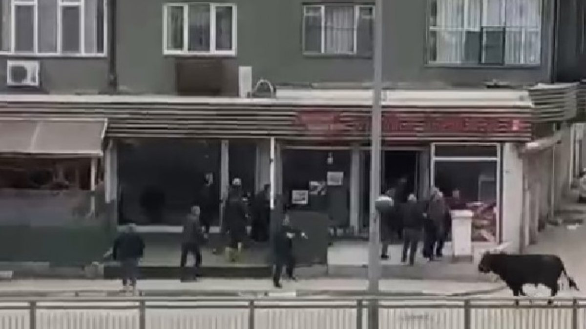 Bursa’da sahibinin elinden kaçan boğa, şehri birbirine kattı