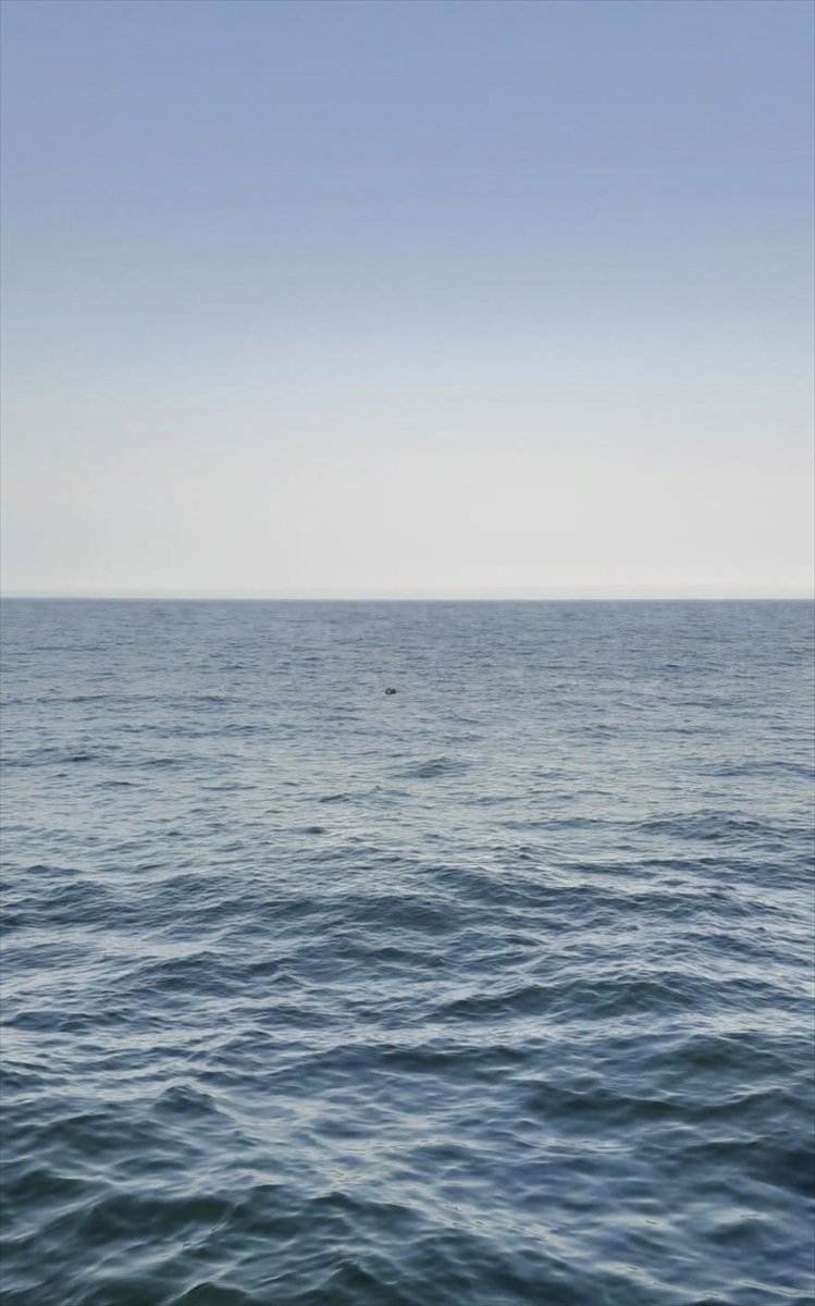 Deniz Kuvvetleri'nin Karadeniz'de mayın mesaisi