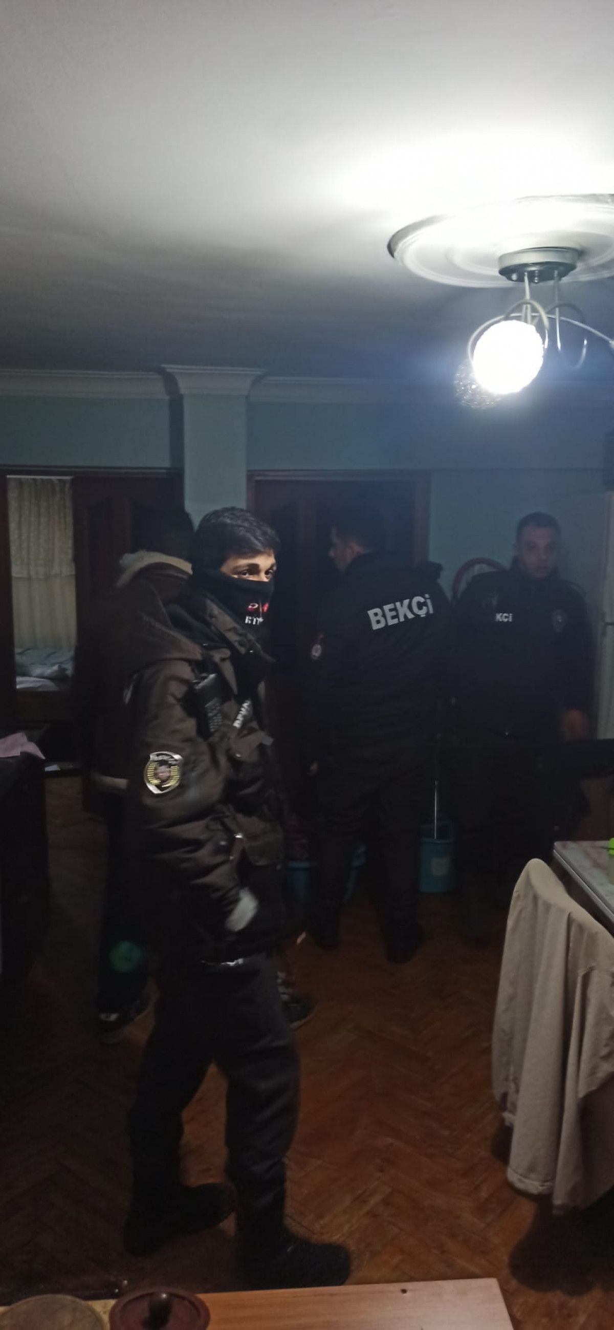 Güngören'de gence saldıran pitbull barınağa teslim edildi