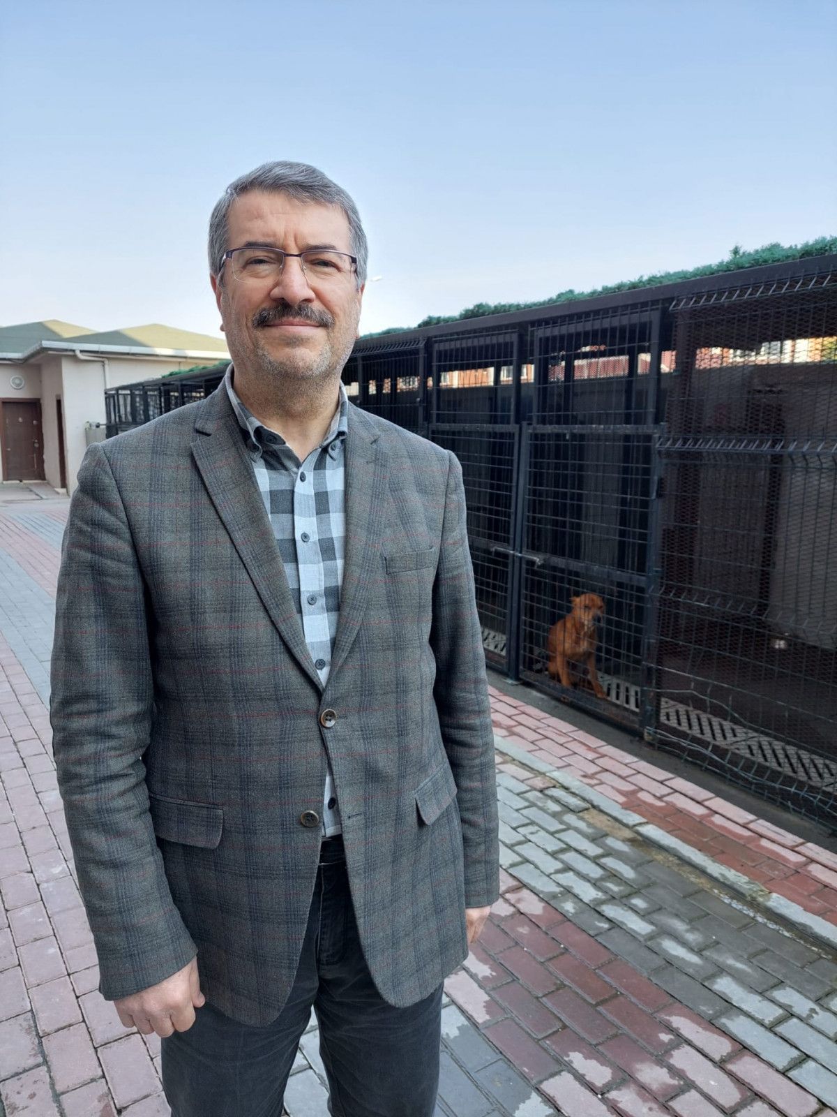 Güngören'de gence saldıran pitbull barınağa teslim edildi