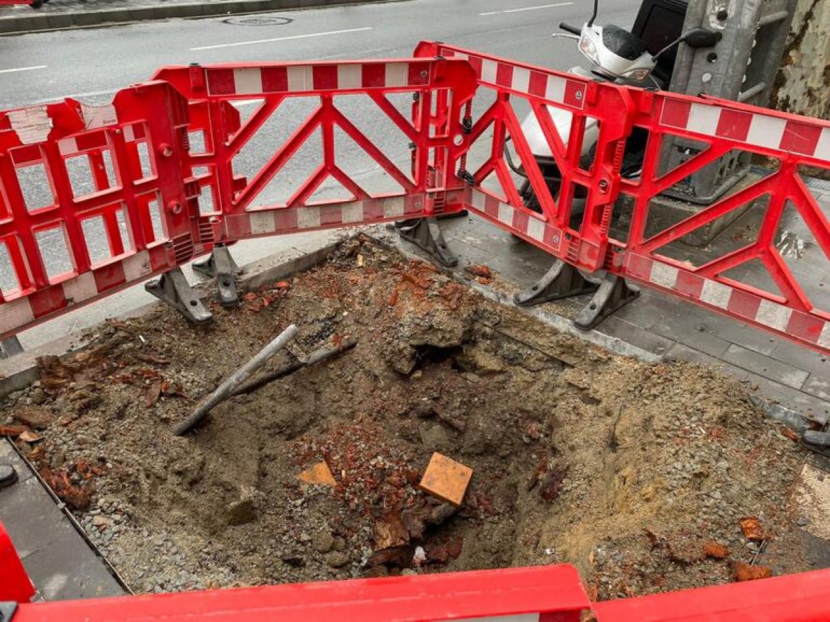 İBB'nin kestiği 112 anıt çınar kurtarılabilirdi