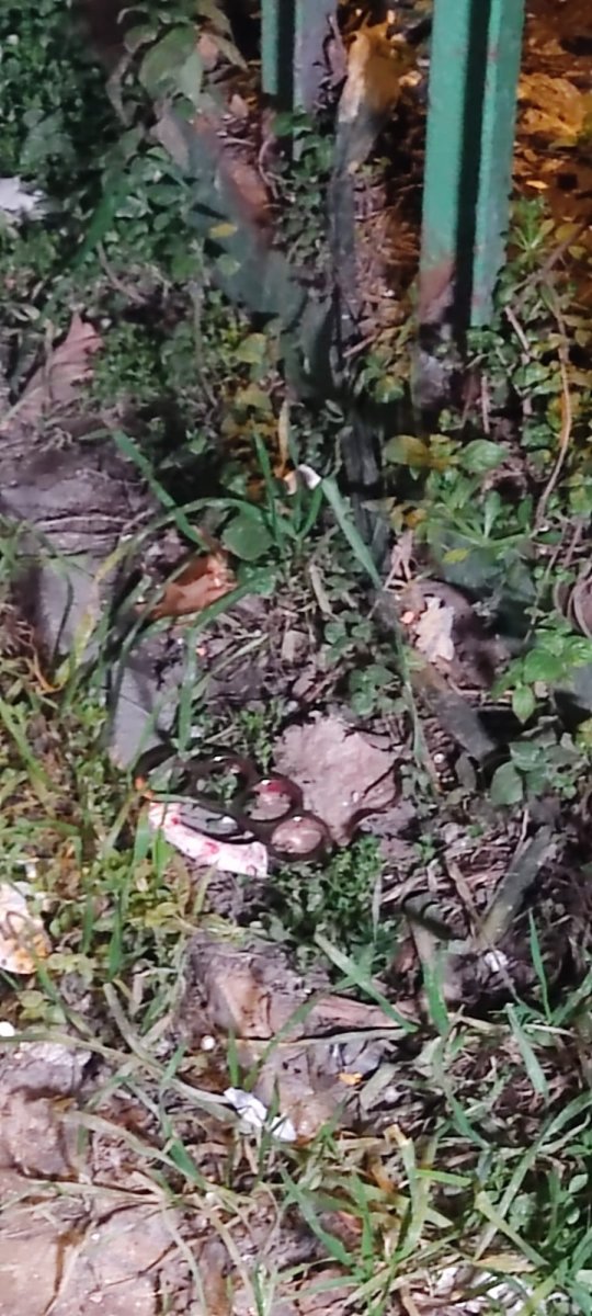 Kağıthane'deki kağıt toplayıcısı şah damarından bıçaklanarak katledildi