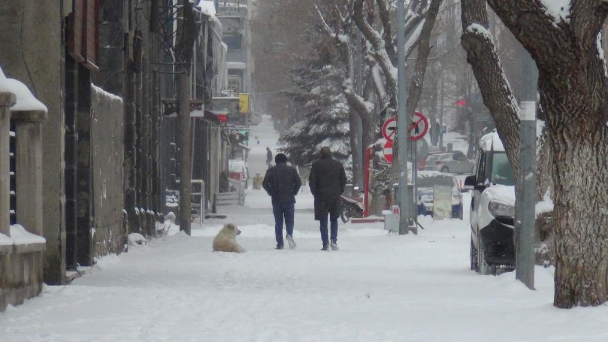 Kars'ta etkili olan kar ve tipi vatandaşlara zor anlar yaşattı