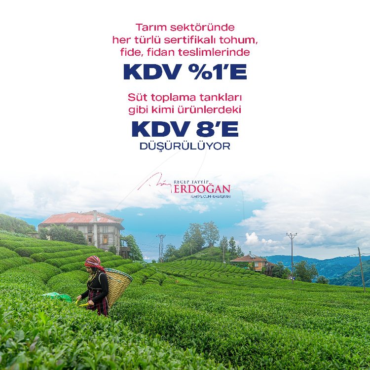 KDV sadeleştirilmesinin detayları belli oldu