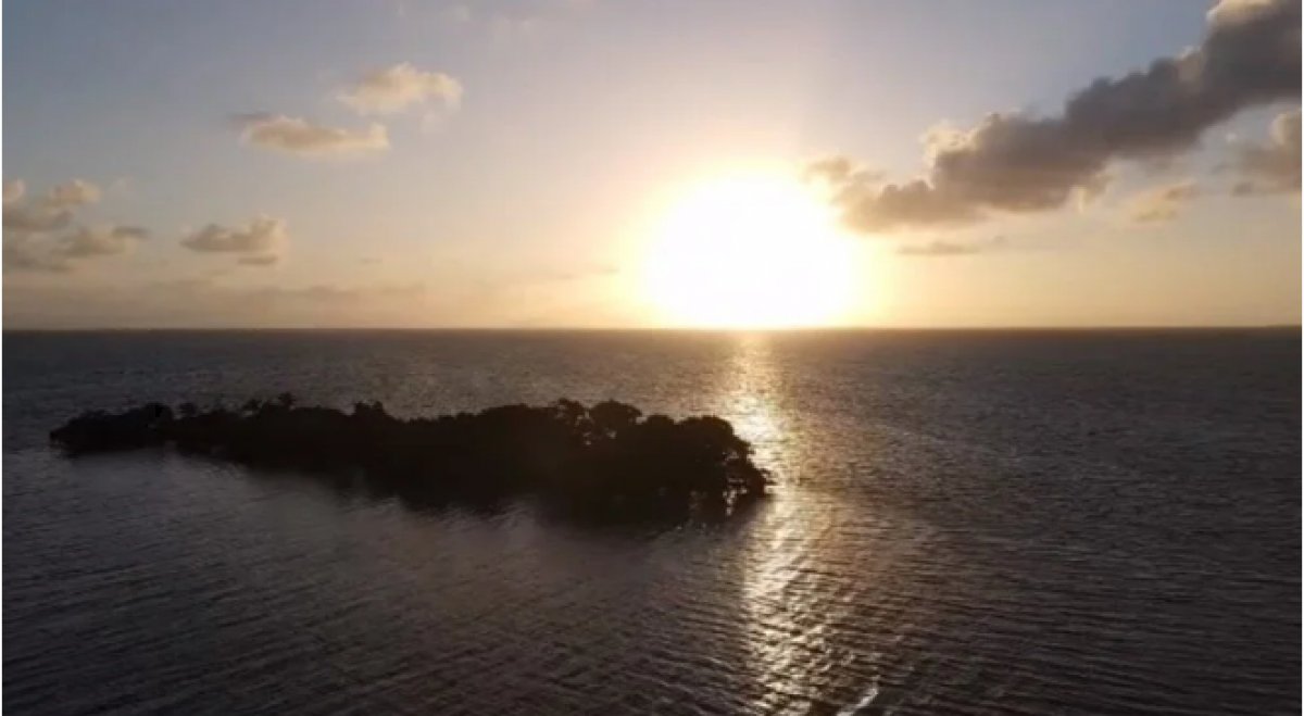 Kendi ülkelerini kurmak için Karayipler'den ada satın aldılar