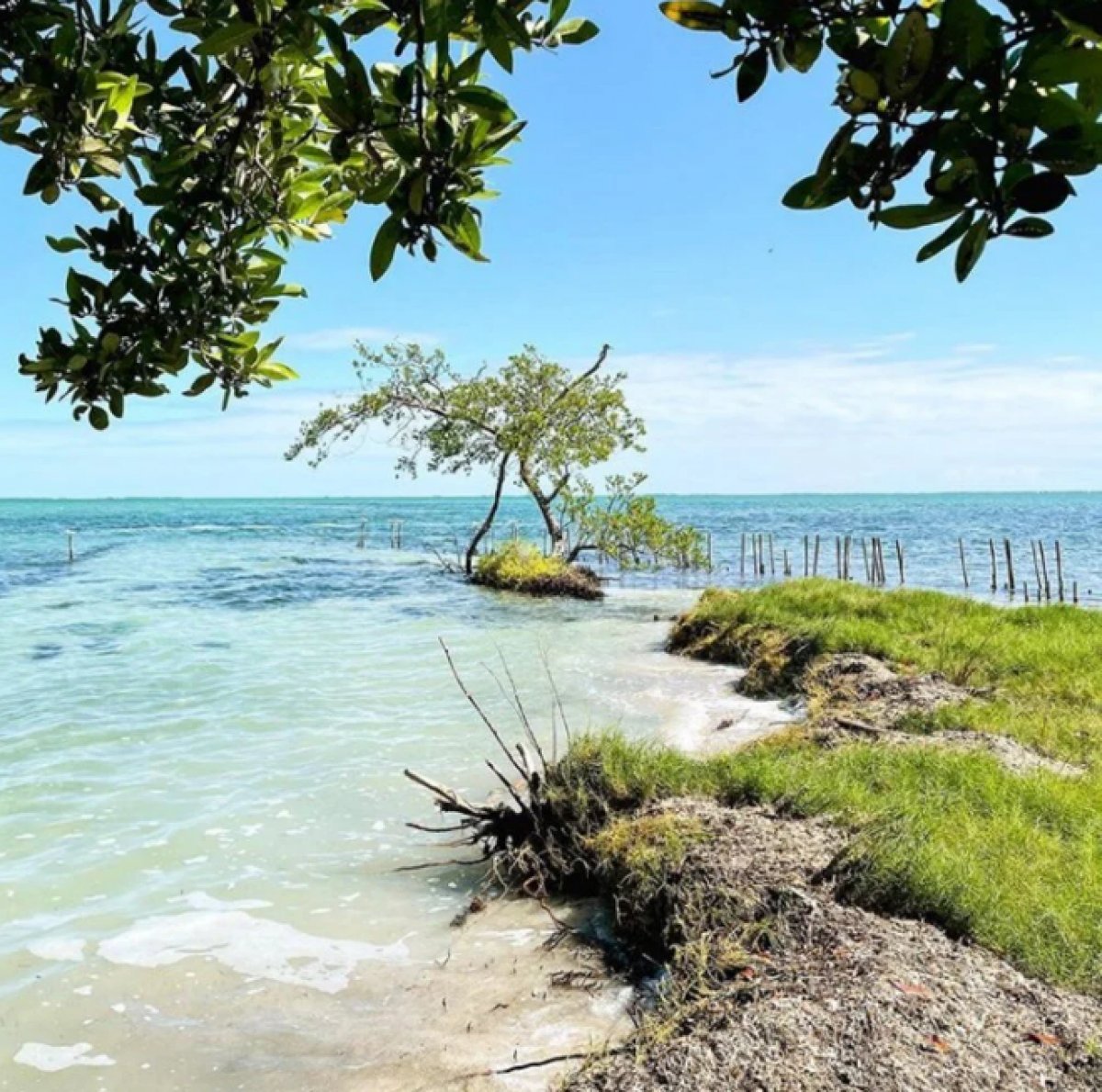 Kendi ülkelerini kurmak için Karayipler'den ada satın aldılar