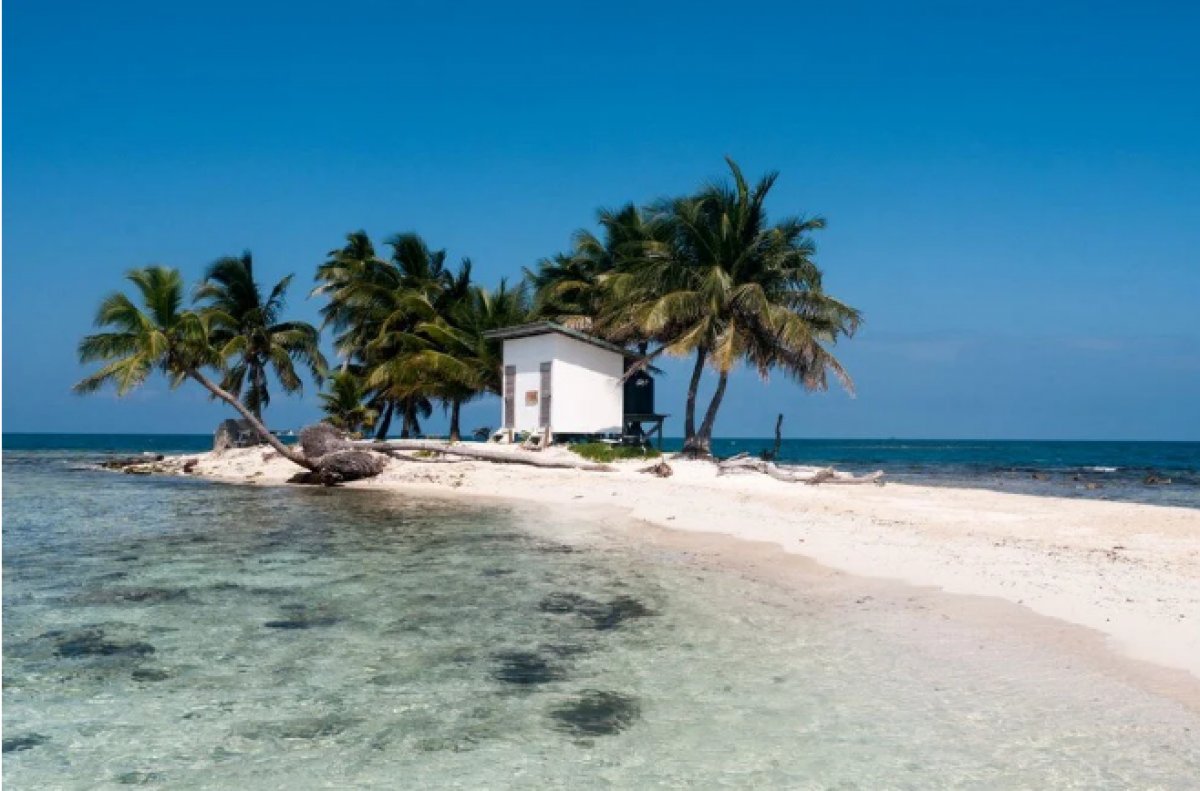 Kendi ülkelerini kurmak için Karayipler'den ada satın aldılar
