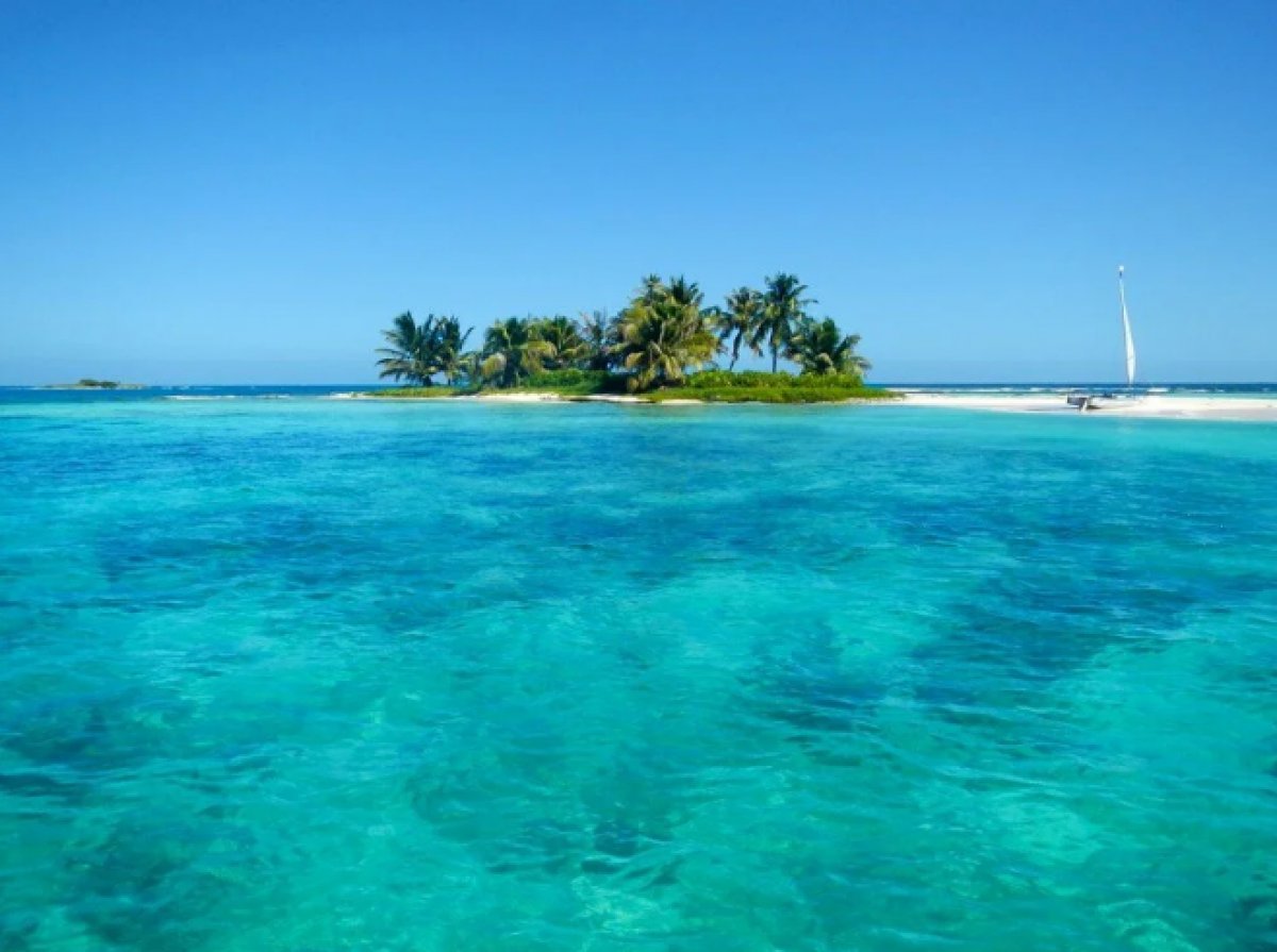 Kendi ülkelerini kurmak için Karayipler'den ada satın aldılar