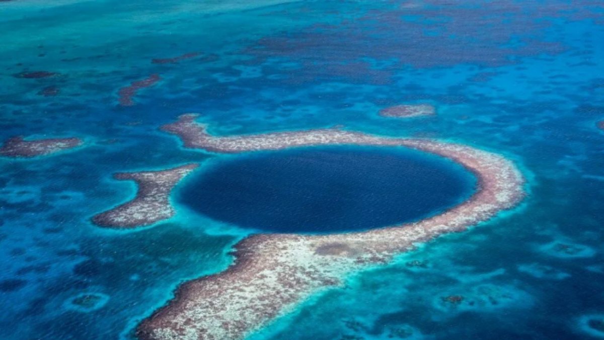 Kendi ülkelerini kurmak için Karayipler'den ada satın aldılar
