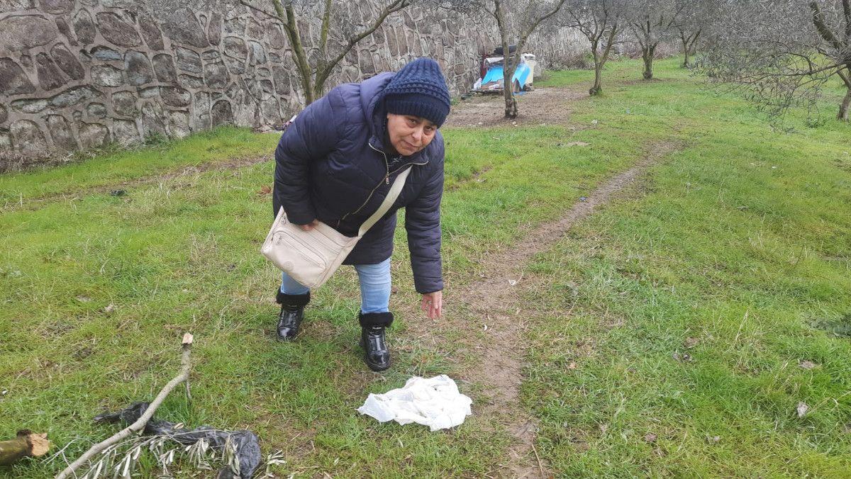 Kocaeli'de tavuk yiyerek ölen 5 köpek için soruşturma açıldı