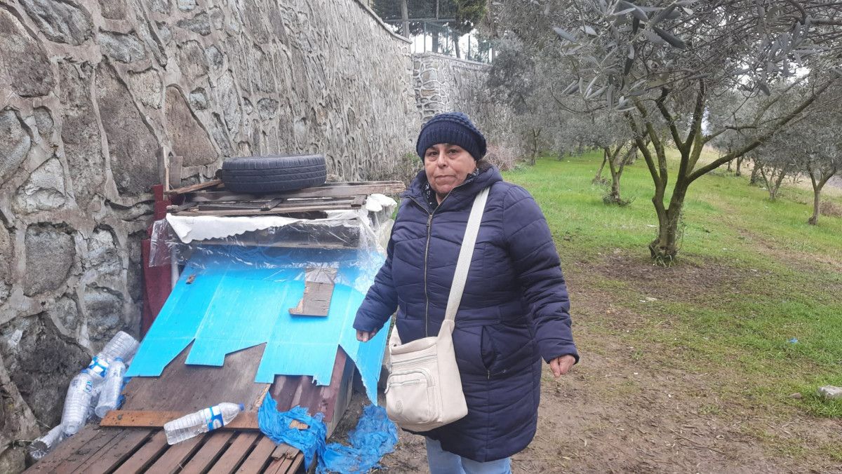 Kocaeli'de tavuk yiyerek ölen 5 köpek için soruşturma açıldı