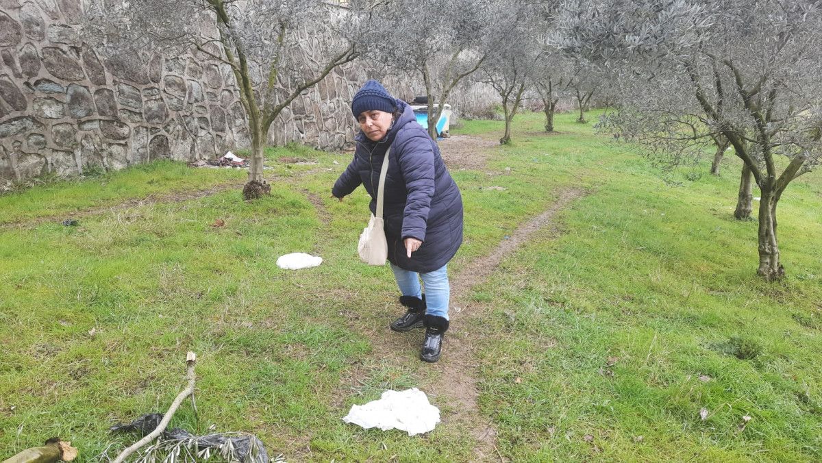 Kocaeli'de tavuk yiyerek ölen 5 köpek için soruşturma açıldı