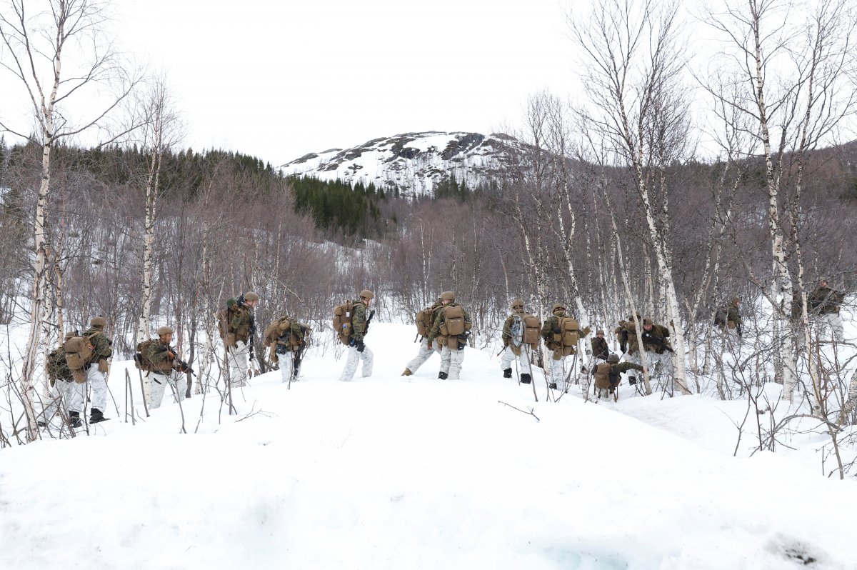 Norveç'te soğuk hava koşullarındaki NATO tatbikatı sürüyor