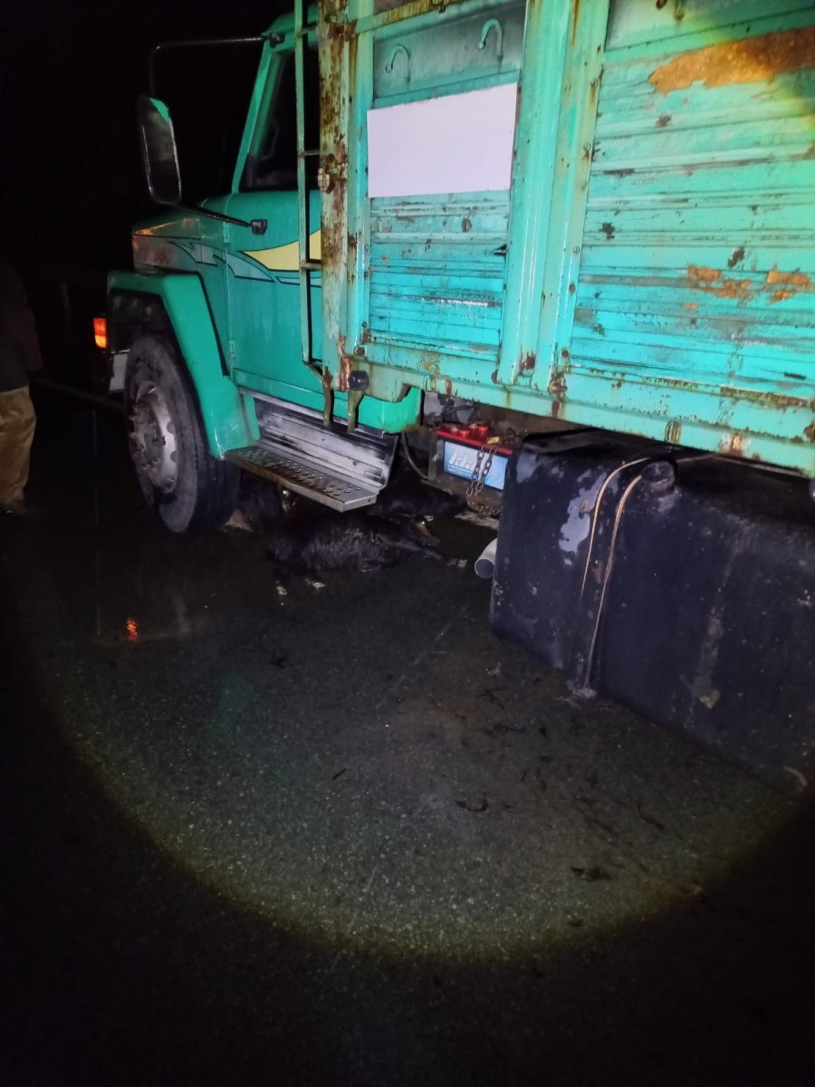 Rize'de yoldan geçen keçi sürüsüne araçlar çarptı