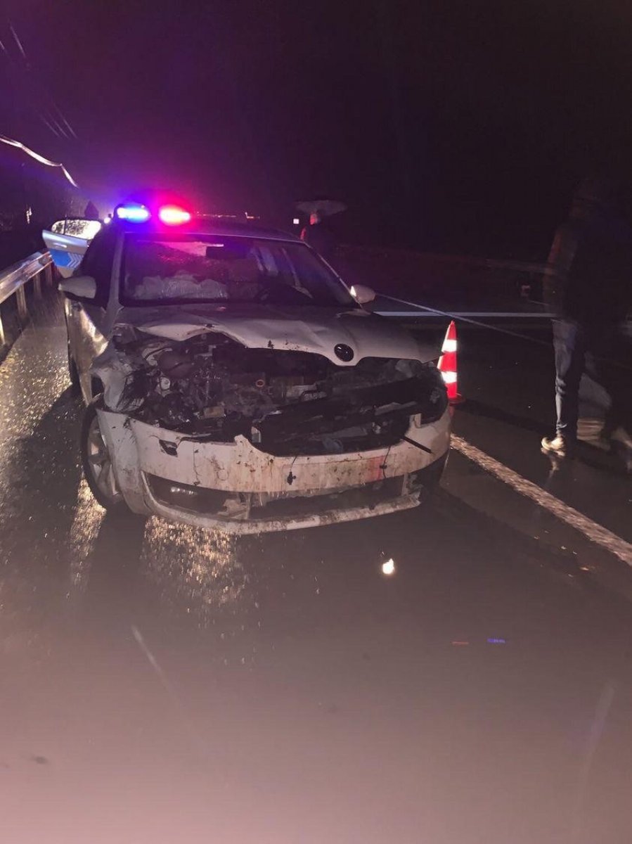 Rize'de yoldan geçen keçi sürüsüne araçlar çarptı