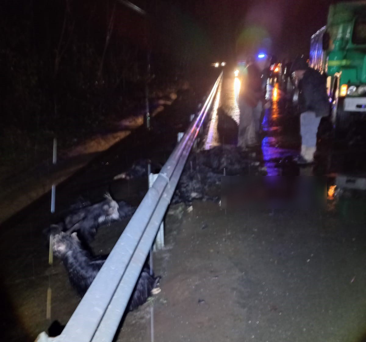 Rize'de yoldan geçen keçi sürüsüne araçlar çarptı