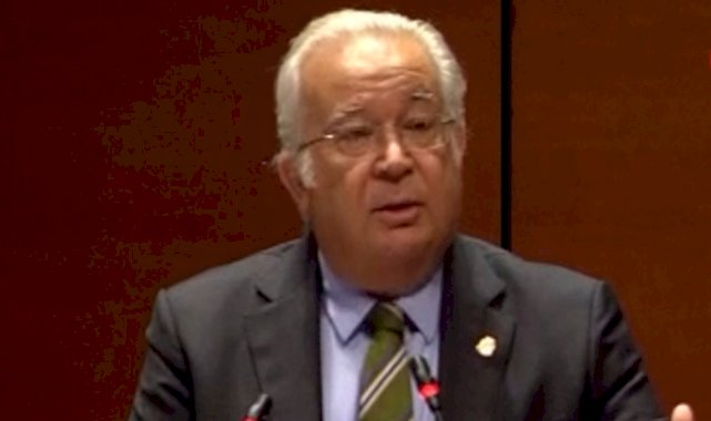 Eşref Hamamcıoğlu: Burak Elmas Galatasaray'ın yükünü kaldıramadı