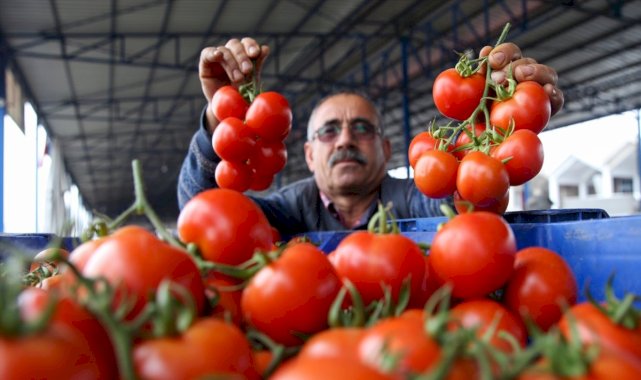 Ukrayna işgali Antalya Toptancı Hali'nde sebze fiyatlarını düşürdü