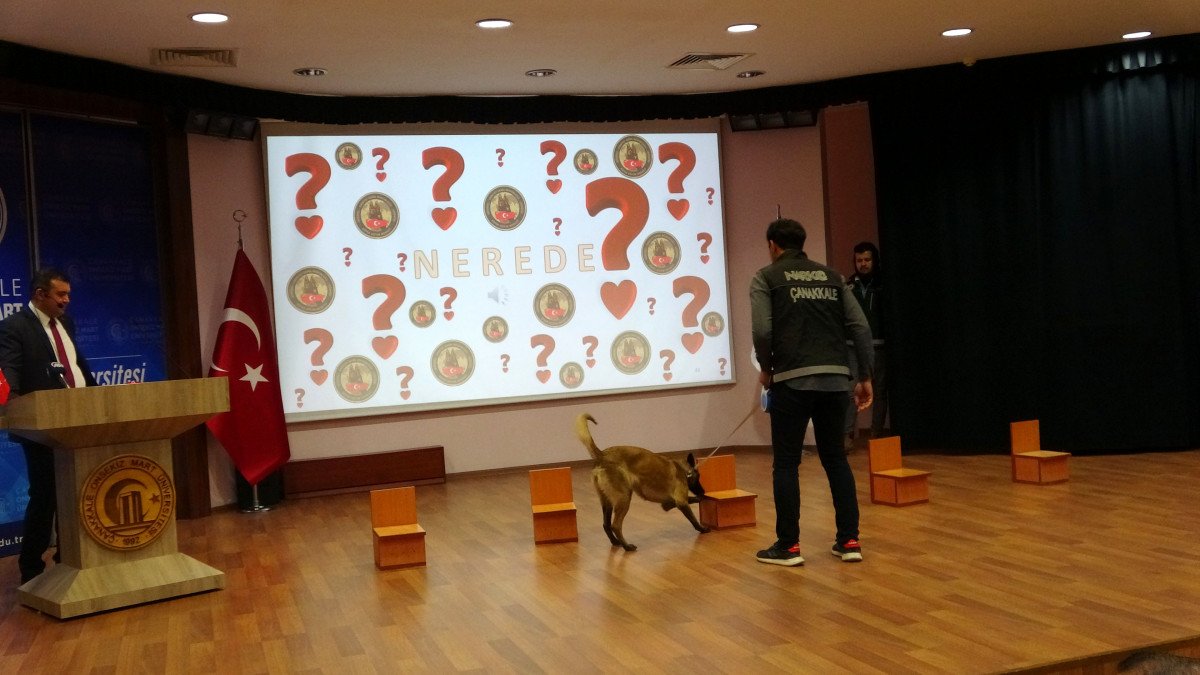 Türkiye’de uyuşturucu kullanımı yaygınlığı yüzde 3,1