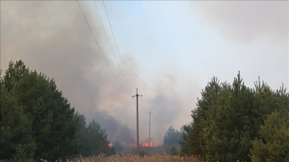 Ukrayna’da Zaporijya Nükleer Santrali'nde yangın çıktı